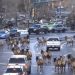 Traffic Jam? More Like an Elk Parade as Herd Casually Blocks Colorado Road